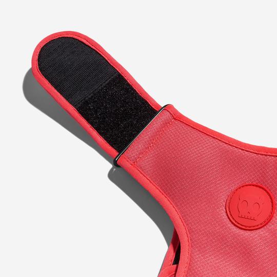 zeedog-arnes-neon-coral-ajustable-air-mesh