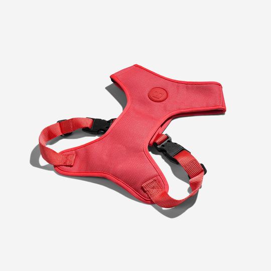 zeedog-arnes-neon-coral-ajustable-air-mesh