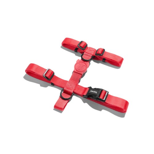 zeedog-arnes-neon-coral-h
