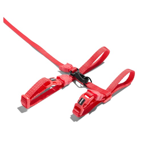 Zee.Dog - Neon Coral Leash + Harness Set