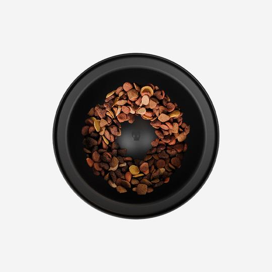 zeedog-bowl
