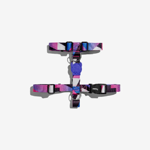 zeedog-arnes-midnight-h