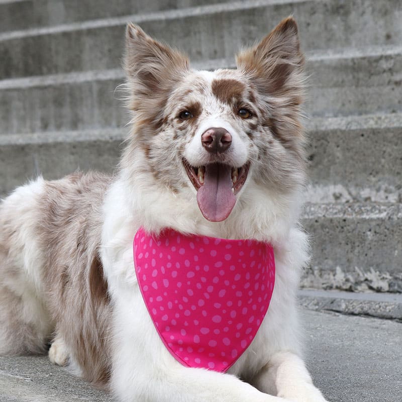 alana-bandana-bandana-bubblegum-pink