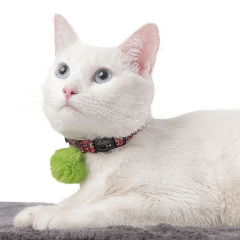 totto-pets-collar-ajustable-gato-meow