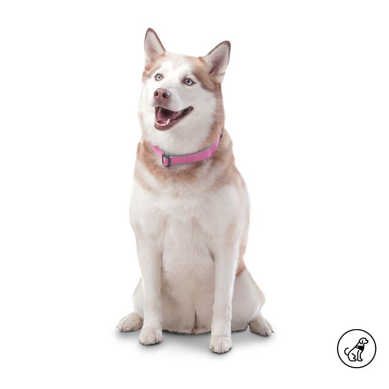 Totto Pets - Collar Ajustable Perro Mylu Morado