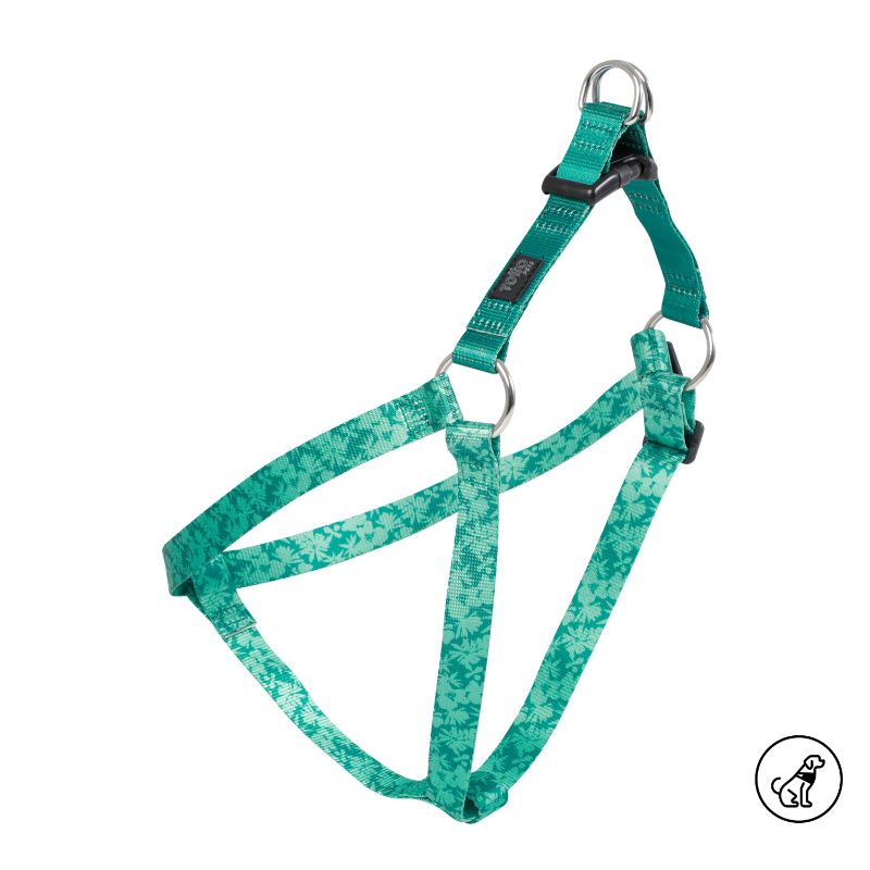 totto-pets-arnes-de-caminata-brunno-verde