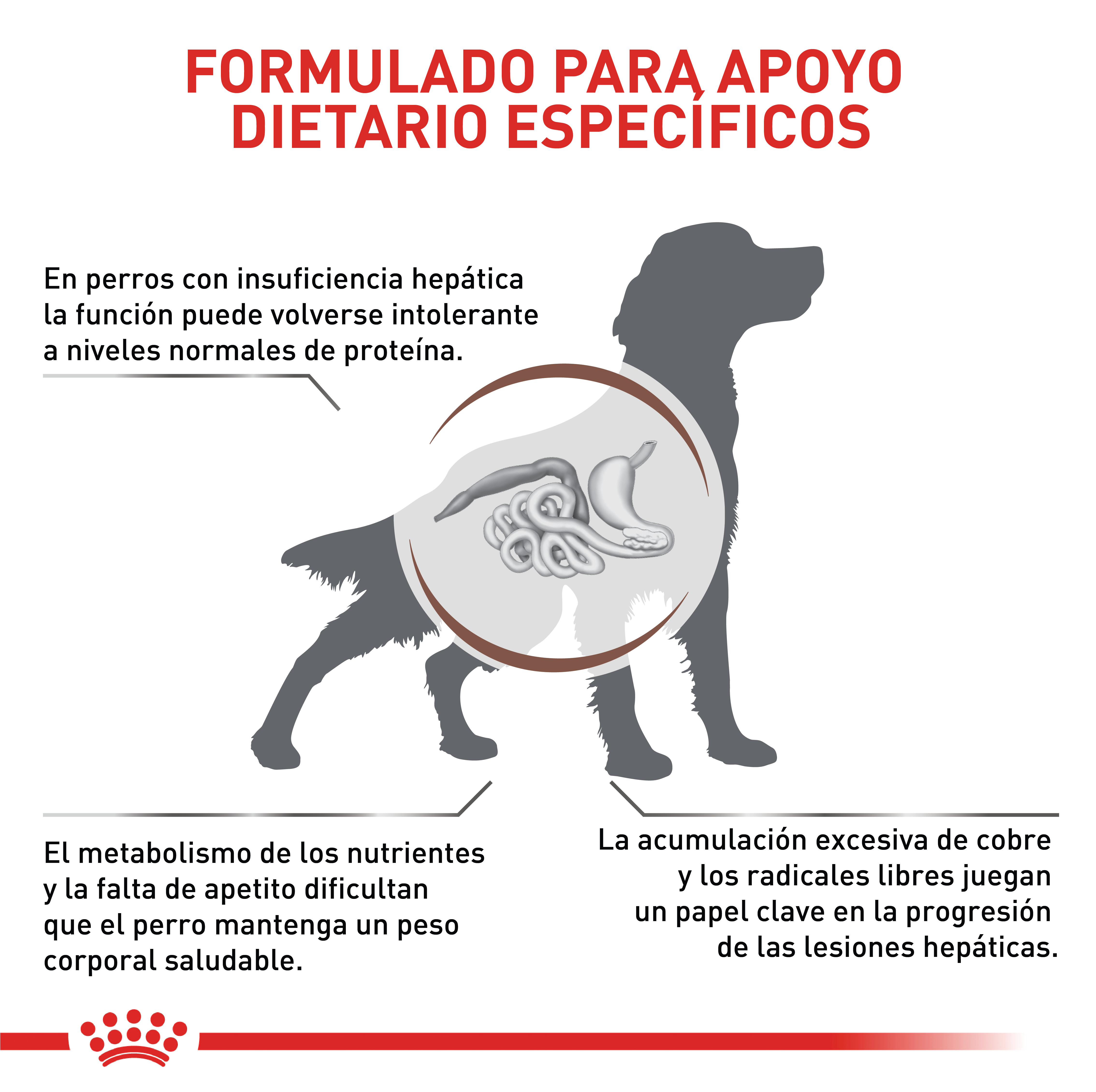 royal-canin-vd-hepatic-dry