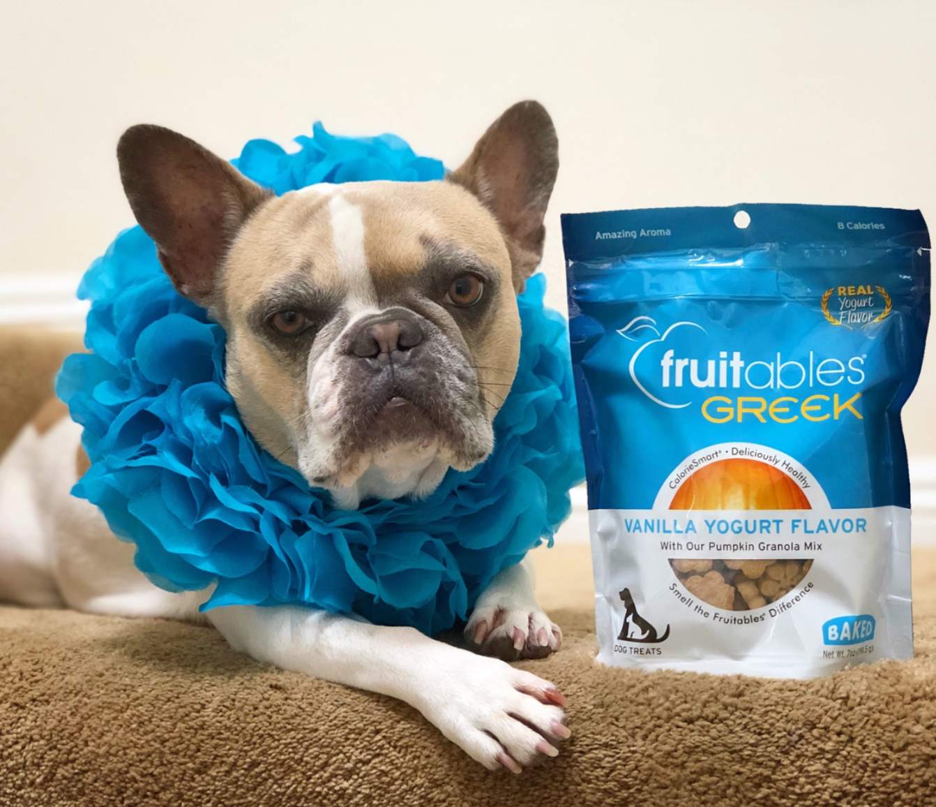 fruitables-snack-yogurt-giego