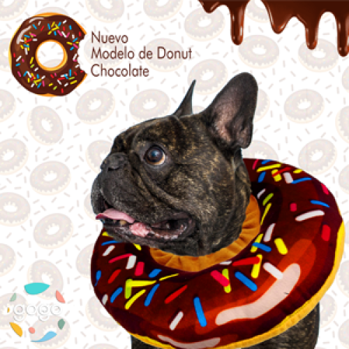 gogomascotas-collar-isabelino-donagato-entrega-en-4-dias-habiles