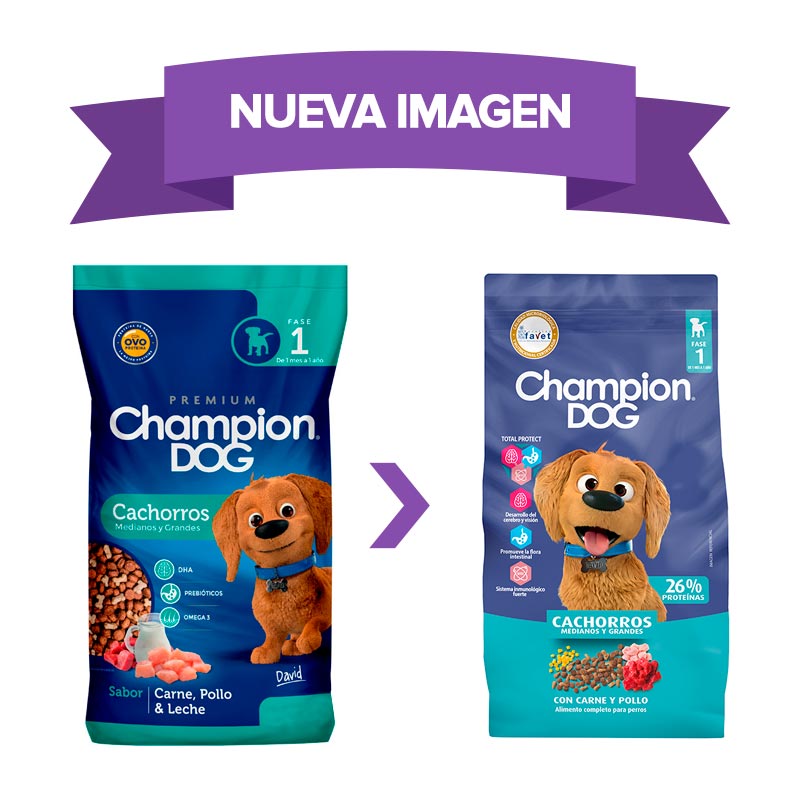 champion-dog-cachorro-medianos-y-grandes