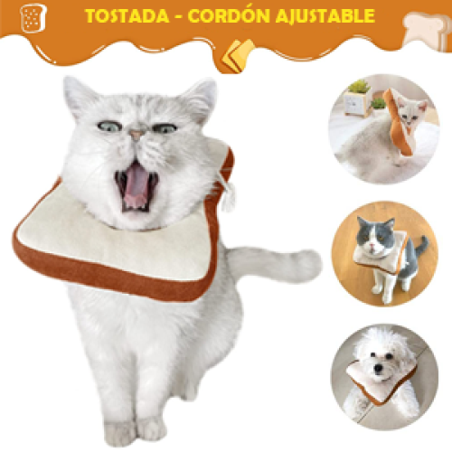 Go!Go!Mascotas - Collar Isabelino Tostada Perro