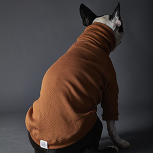 the-striped-dog-sueter-terracota-beverly