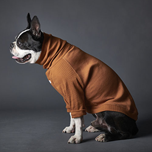 the-striped-dog-sueter-terracota-beverly