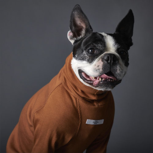 the-striped-dog-sueter-terracota-beverly