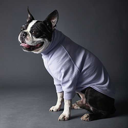 the-striped-dog-sueter-lila-beverly