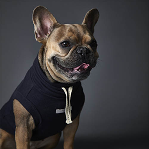 the-striped-dog-chaleco-azul-melrose