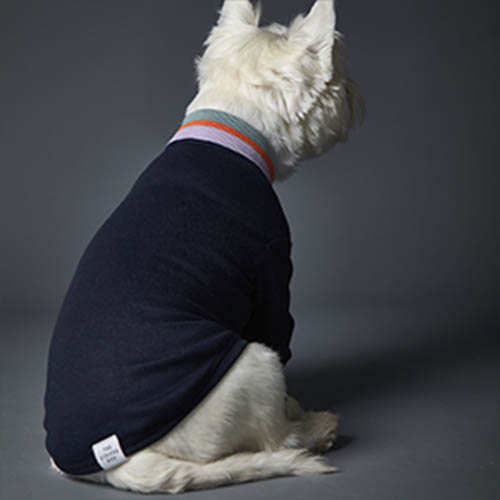 the-striped-dog-sueter-multicolor-lakewood