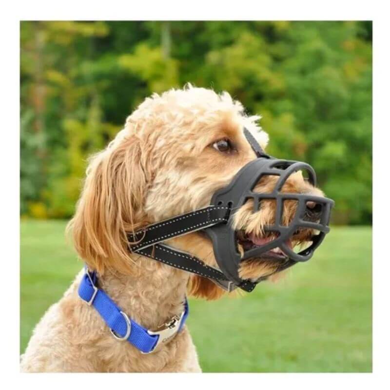 coastal-pet-perro-bozal-basket