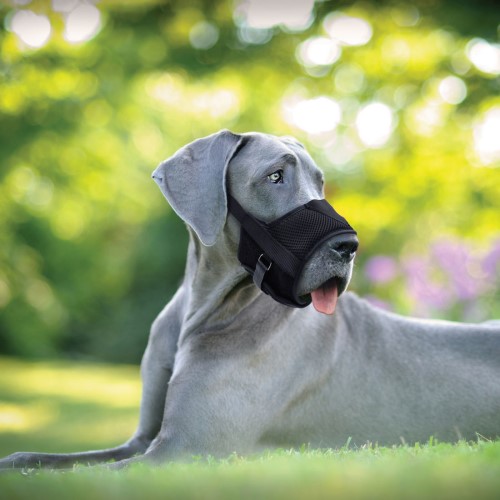 coastal-pet-perro-bozal-comfort