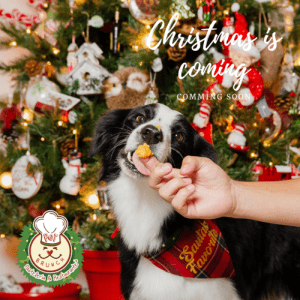 pet-brunch-kit-ano-nuevo
