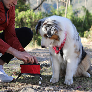 totto-pets-bebedero-portatil-vito