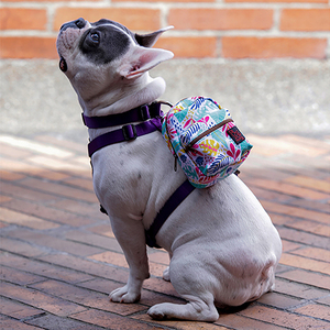 totto-pets-mini-morral-para-snacks-gary