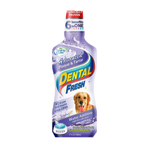 synergy-labs-dental-fresh-plaque-tartar