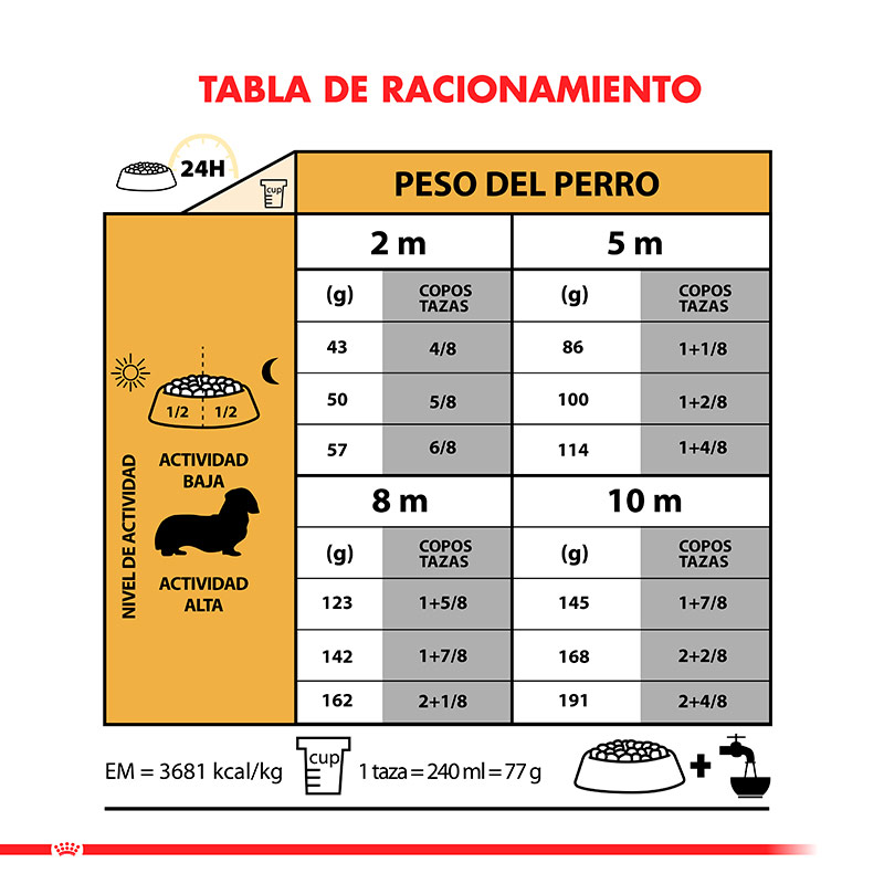 royal-canin-dachshund