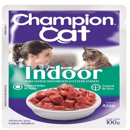 champion-cat-atun