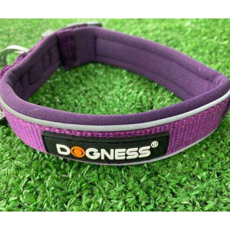 dogness-collar-classic-morado-perro