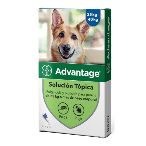 bayer-advantage-antipulgas-perros