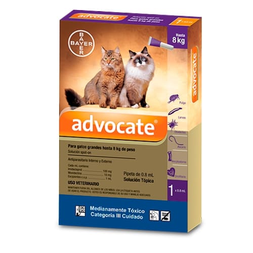 bayer-advocate-gatos
