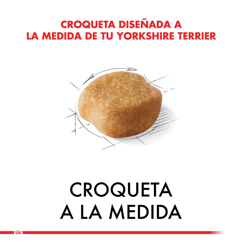 royal-canin-yorkshire