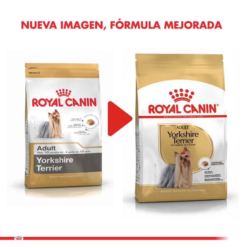 royal-canin-yorkshire