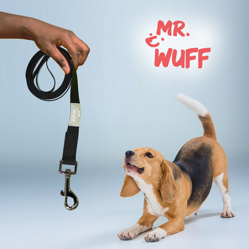 mr-wuff-correa-pvc