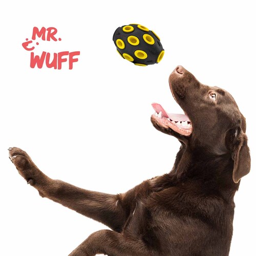 mr-wuff-balon-dispensador