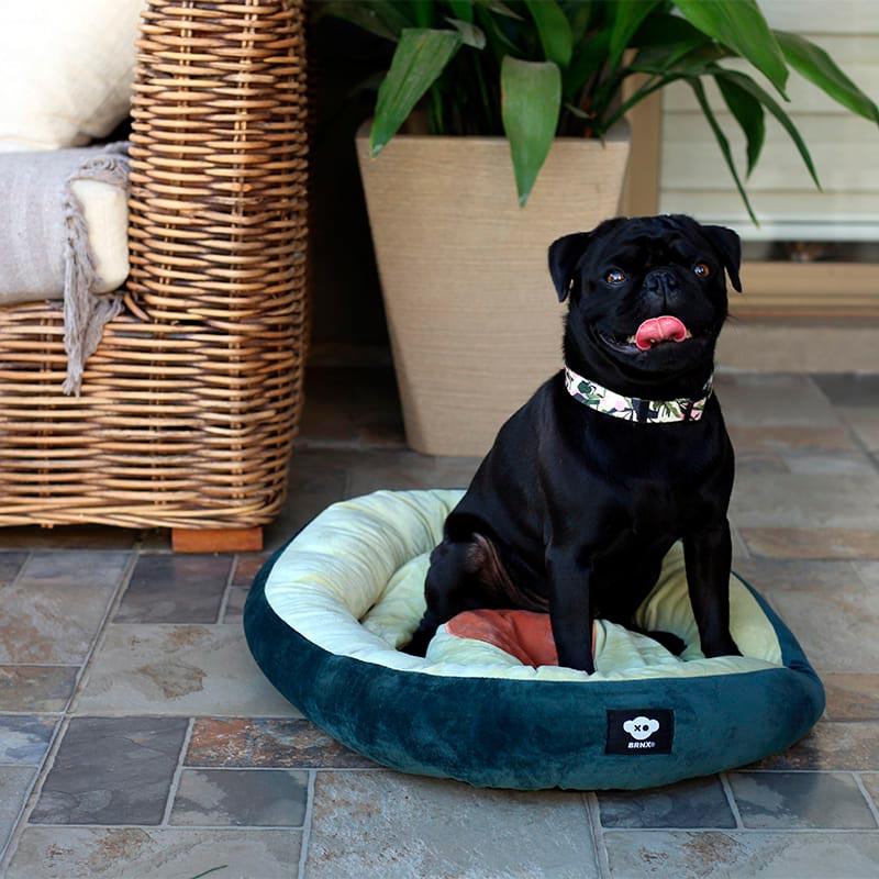 brxn-cama-forma-palta-perros-y-gatos