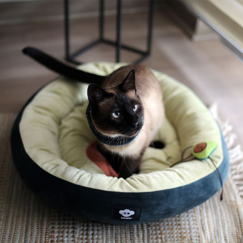 brxn-cama-forma-palta-perros-y-gatos