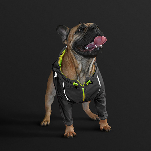 gordogs-chaqueta-rompevientos-neon-negro