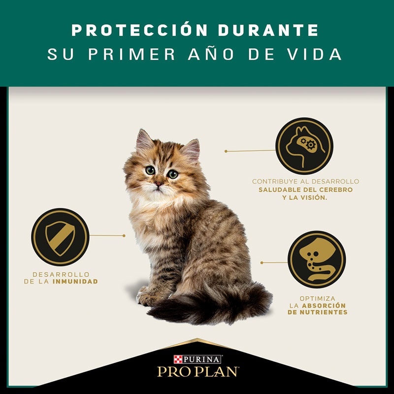 pro-plan-cat-kitten-optistart