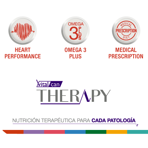 vitalcan-therapy-perros-con-afecciones-cardiovasculares