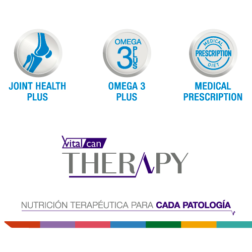 vitalcan-therapy-perros-con-trastornos-osteoarticulares
