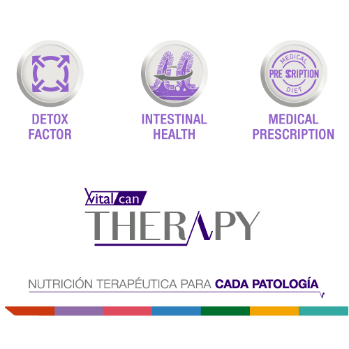 vitalcan-therapy-gatos-con-trastornos-gastrointestinales