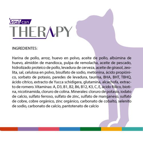 vitalcan-therapy-gatos-con-trastornos-gastrointestinales