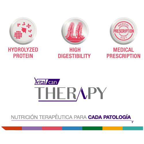 vitalcan-therapy-gatos-con-sensibilidad-cutanea-yo-digestiva