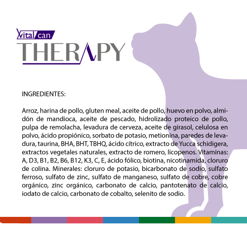 vitalcan-therapy-gatos-adultos-con-enfermedad-renal-cronica