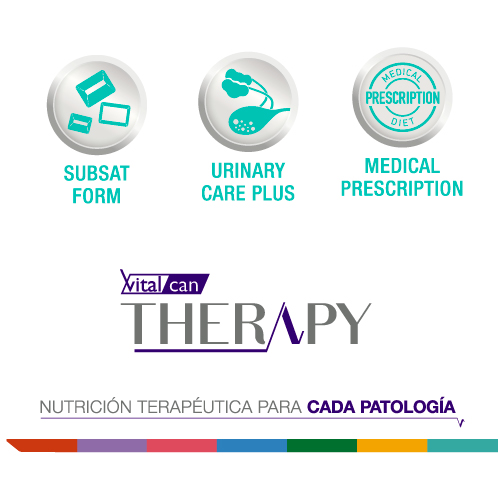 vitalcan-therapy-gatos-adultos-con-calculos-urinarios