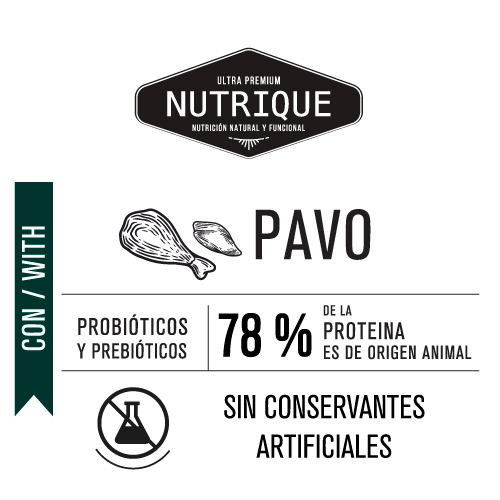 nutrique-perro-adulto-con-sobrepeso-o-tendencia