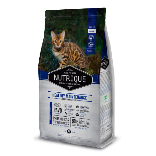 nutrique-gato-adulto-en-peso-ideal