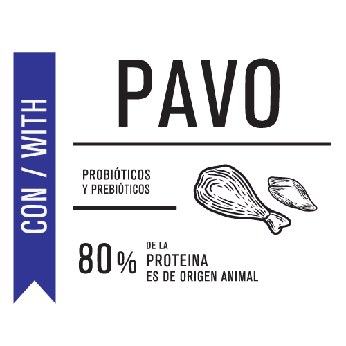nutrique-gato-adulto-en-peso-ideal